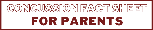 Concussion Fact Sheet for Parents